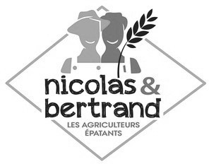 Logo NICOBERT